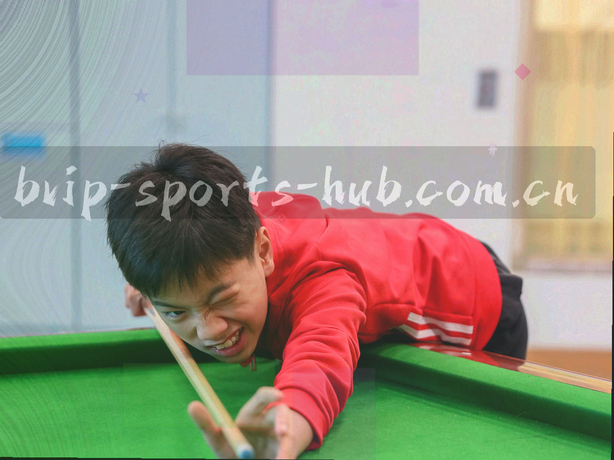 手机端提醒设置界面特写，五类订阅开关与分类条目排列清楚